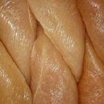 صدور بانية سادة