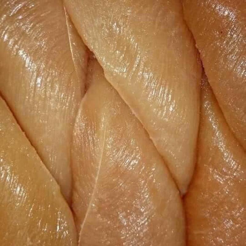 صدور بانية سادة