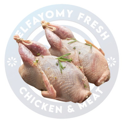 زوج حمام محشي