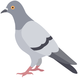 الحمام البلدي