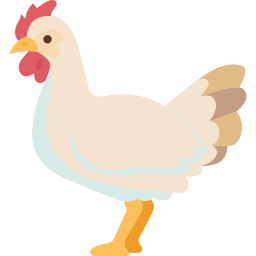 الدجاج الأبيض