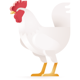 الدجاج البلدي