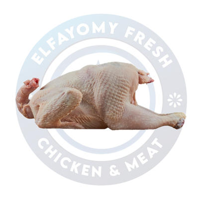 فرخة بلدي سادة