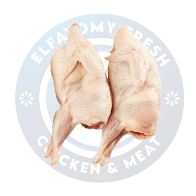 فرخة بلدي حر