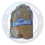 بط بلدي سادة