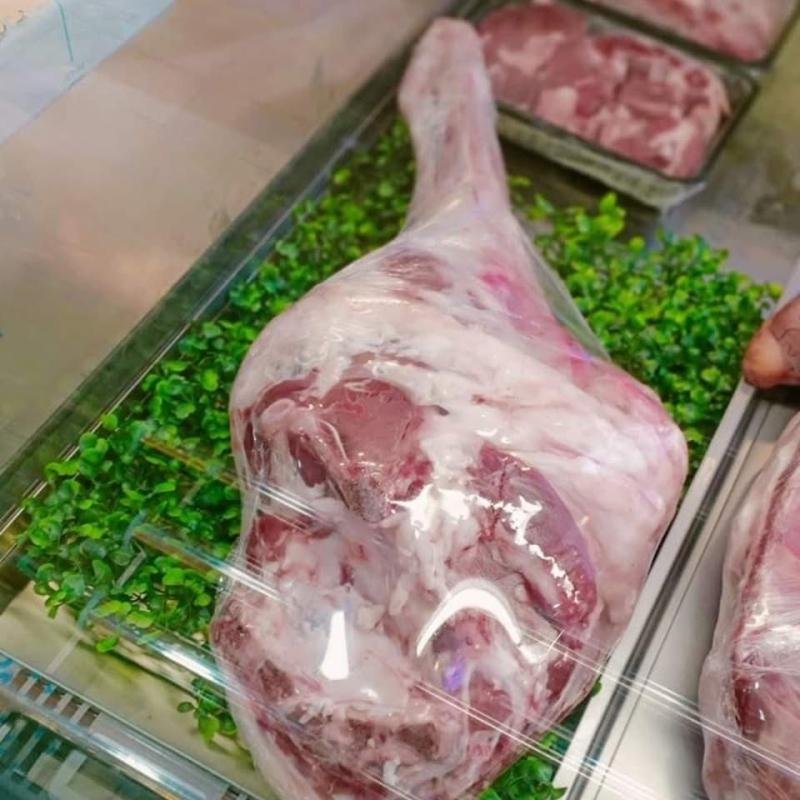 فخدة ضاني برقي